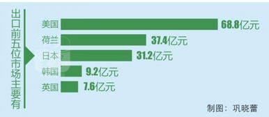 我省文化贸易繁荣发展 丝网制品领衔，与全球180多国共织文化交流网络
